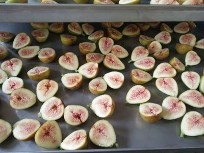 Vakum Paslanmaz Çelik Endüstriyel Dondurularak Kurutulmuş Meyve Makinesi