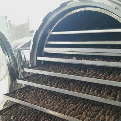 Vakum Paslanmaz Çelik Endüstriyel Dondurularak Kurutulmuş Meyve Makinesi