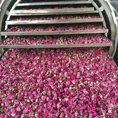 Vakum Paslanmaz Çelik Endüstriyel Dondurularak Kurutulmuş Meyve Makinesi